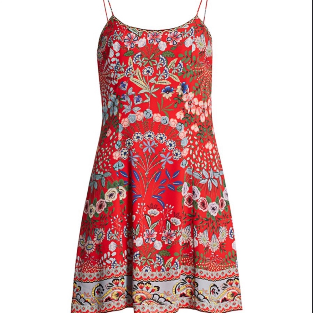 Floral Alice and Olivia dress. New worth tags.